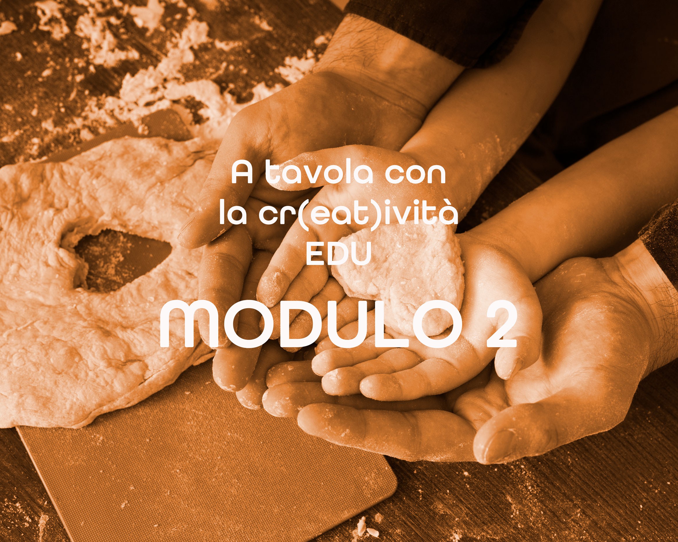 modulo2