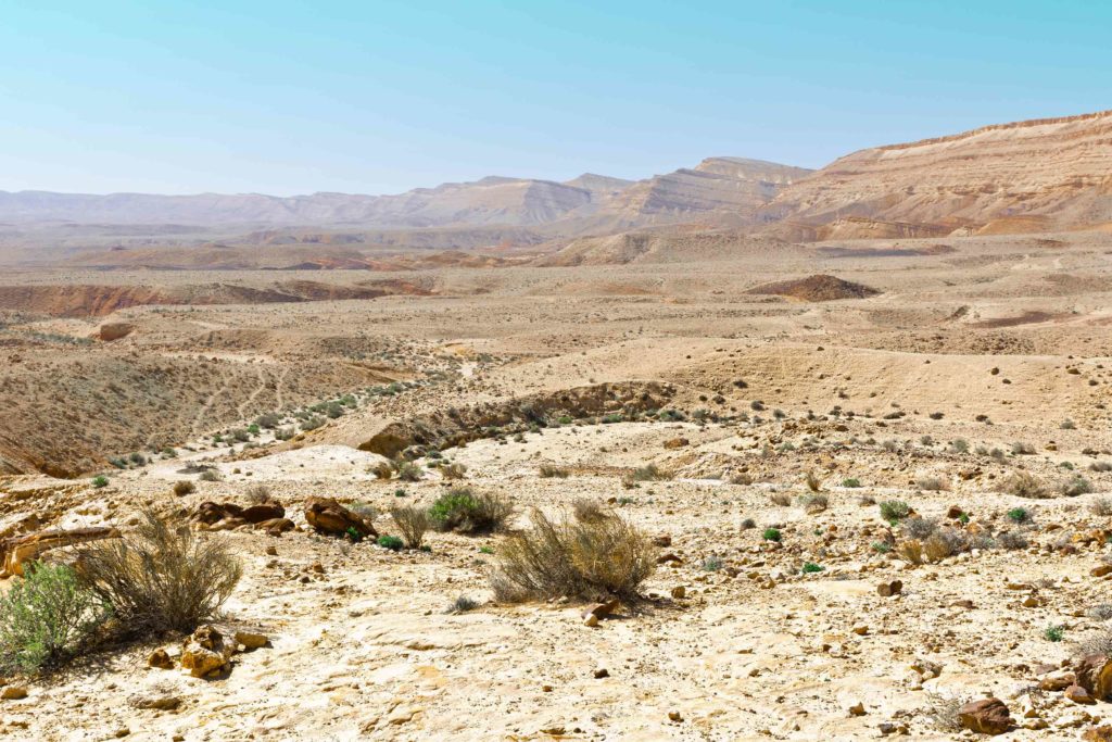 Il deserto, luogo di solitudine o di incontro?