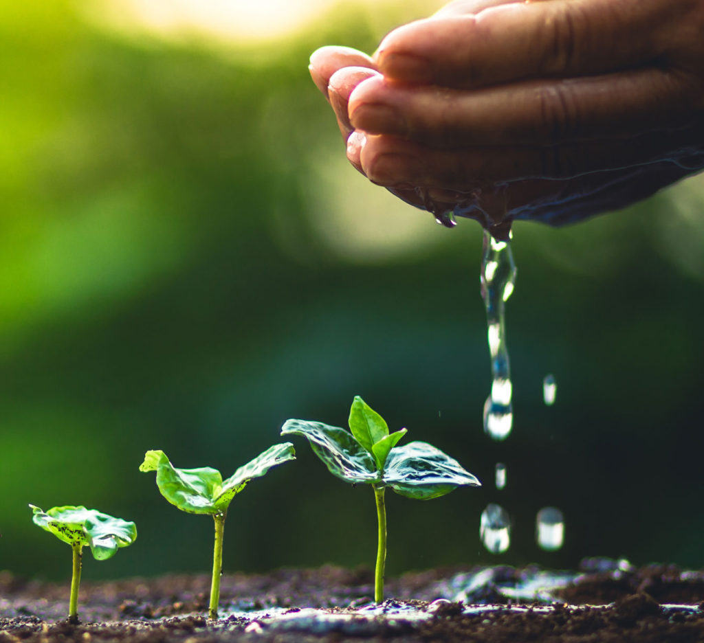 Attivare e sostenere l'apprendimento